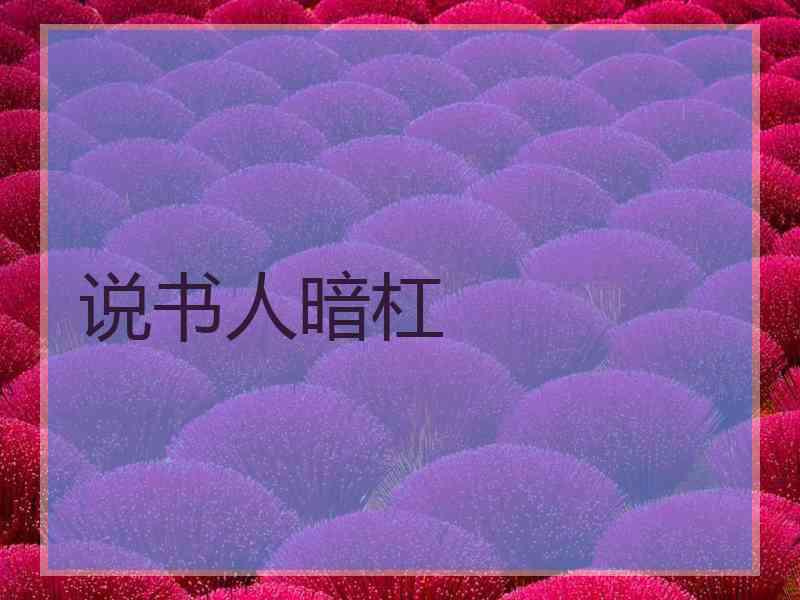 说书人暗杠
