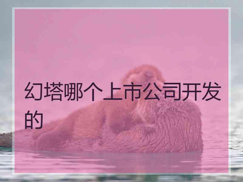 幻塔哪个上市公司开发的