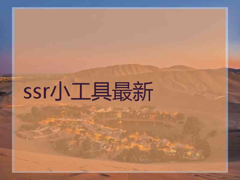 ssr小工具最新