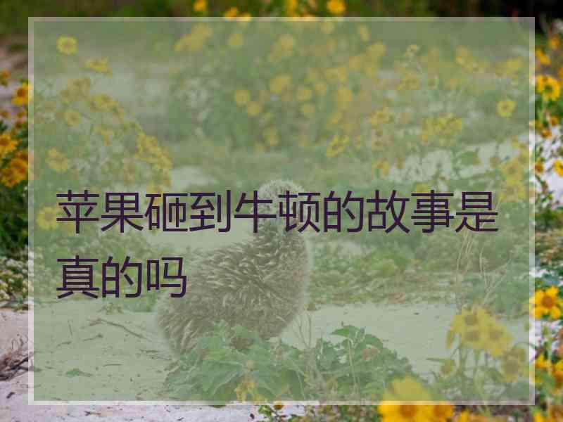苹果砸到牛顿的故事是真的吗