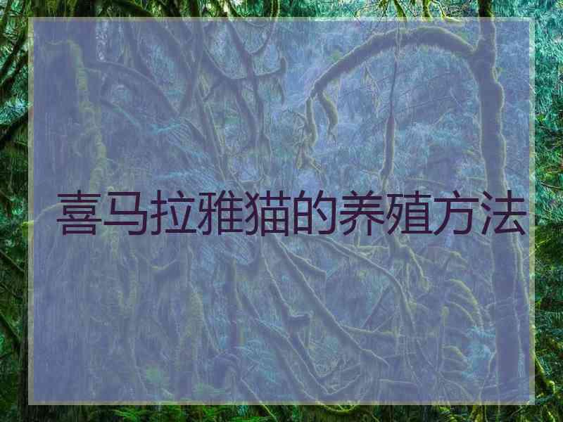 喜马拉雅猫的养殖方法