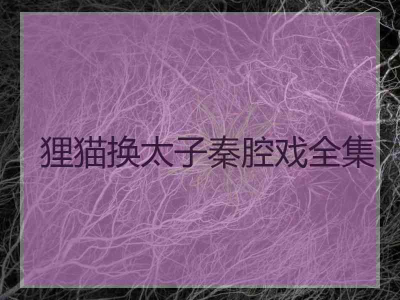 狸猫换太子秦腔戏全集