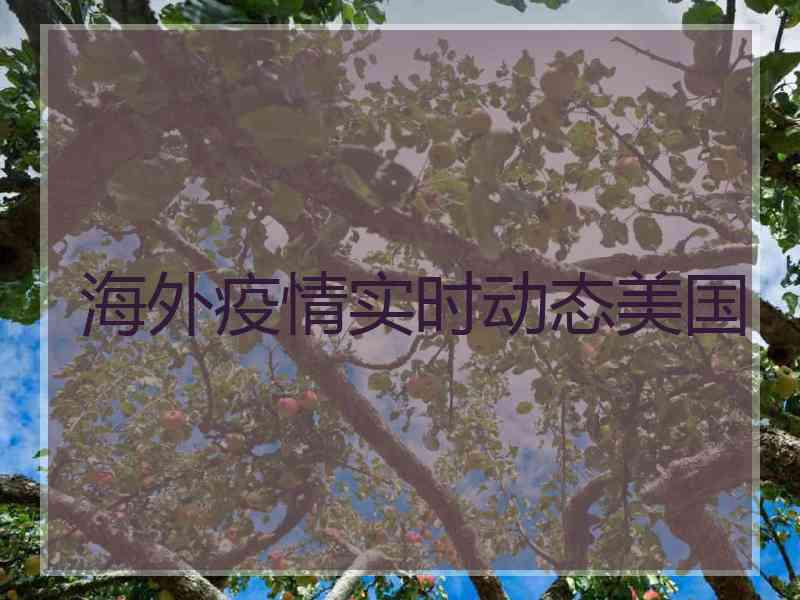 海外疫情实时动态美国