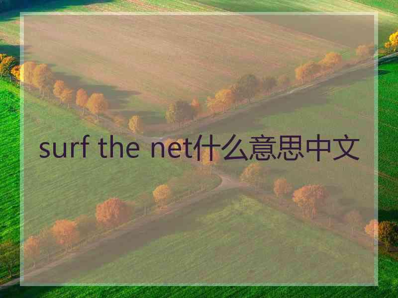 surf the net什么意思中文