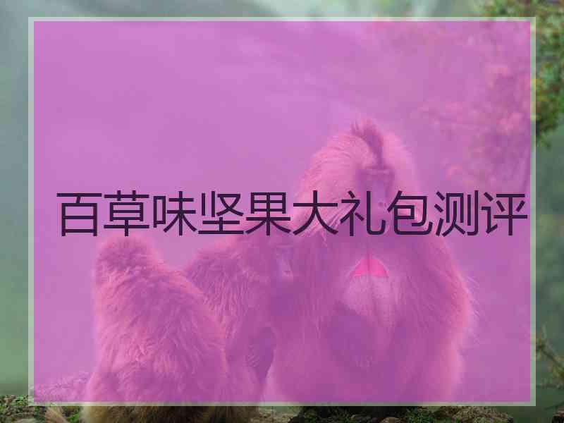 百草味坚果大礼包测评