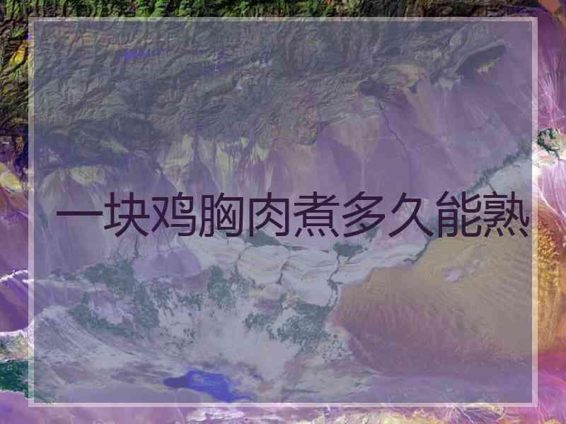 一块鸡胸肉煮多久能熟