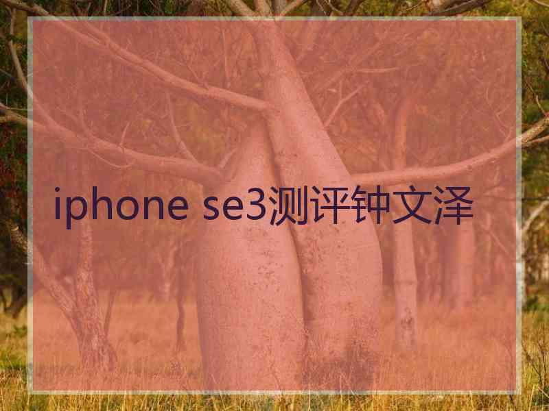 iphone se3测评钟文泽