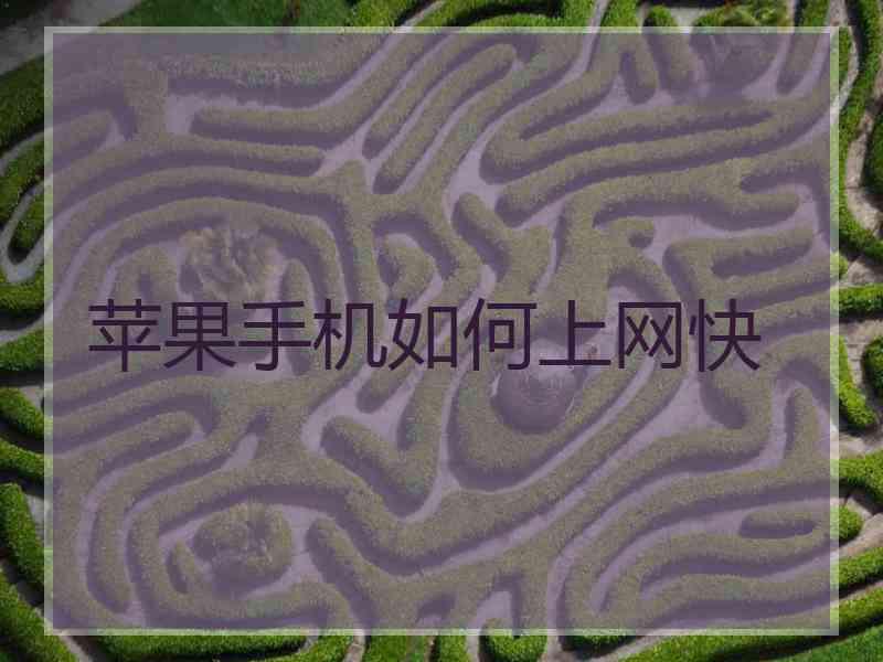 苹果手机如何上网快
