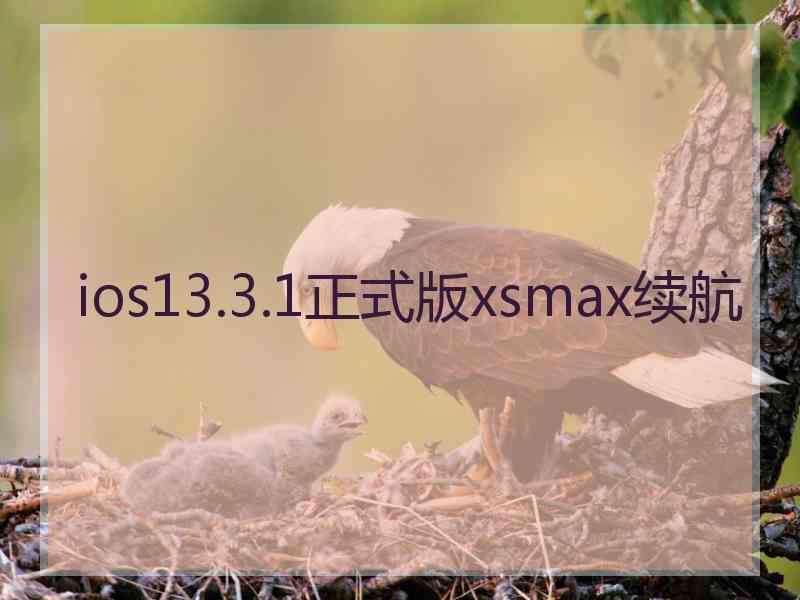 ios13.3.1正式版xsmax续航