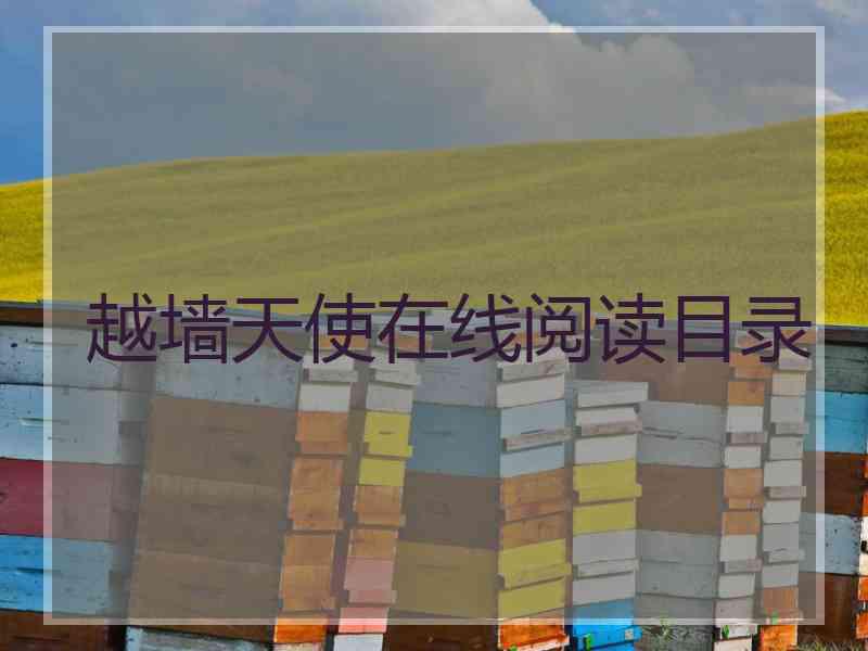 越墙天使在线阅读目录