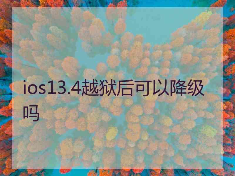 ios13.4越狱后可以降级吗