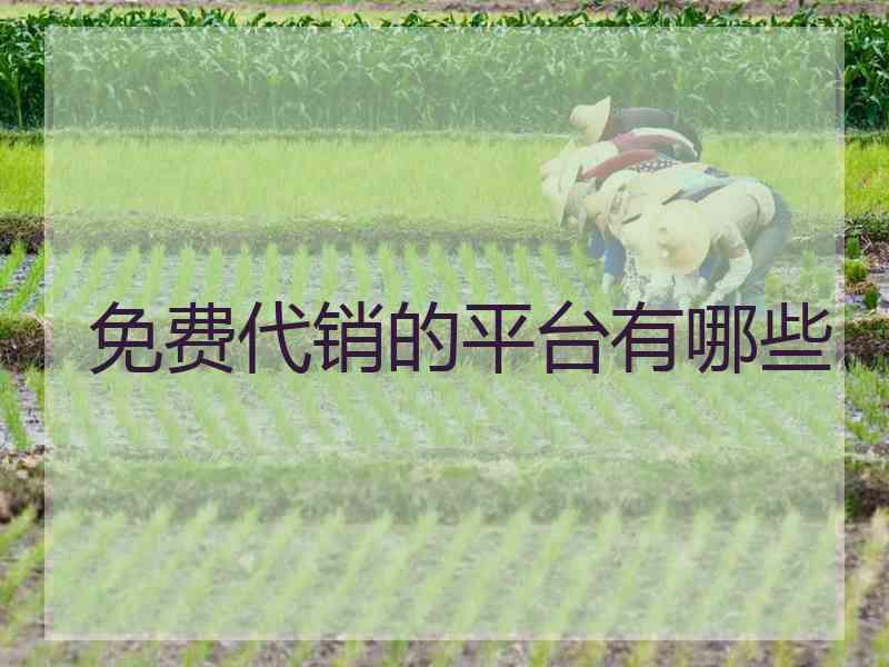免费代销的平台有哪些