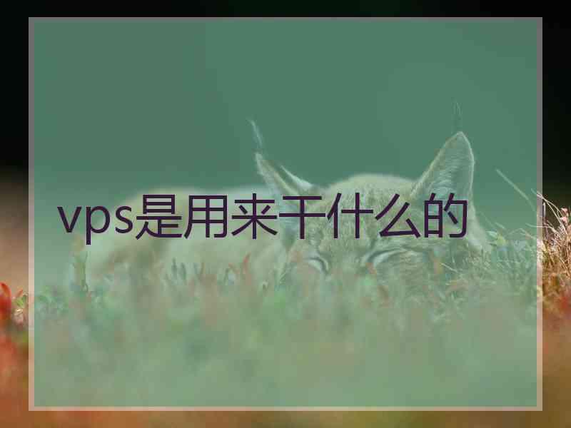 vps是用来干什么的