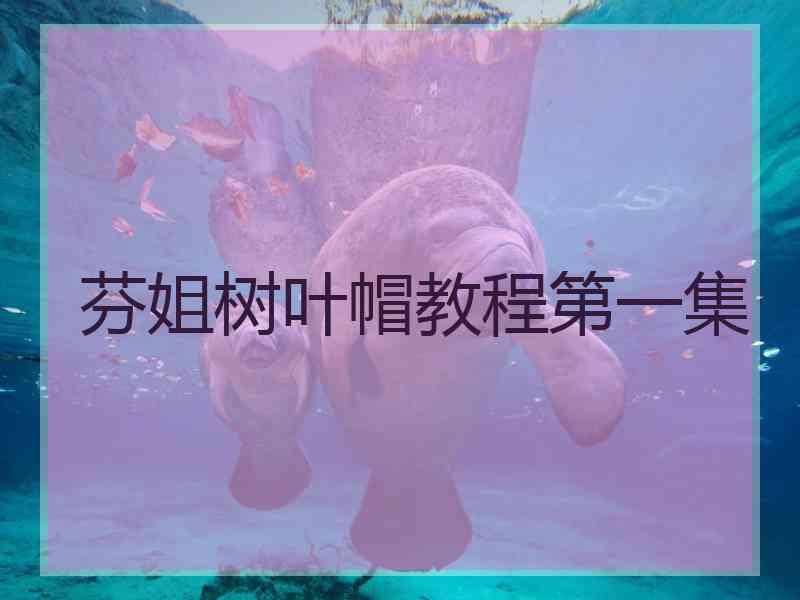 芬姐树叶帽教程第一集