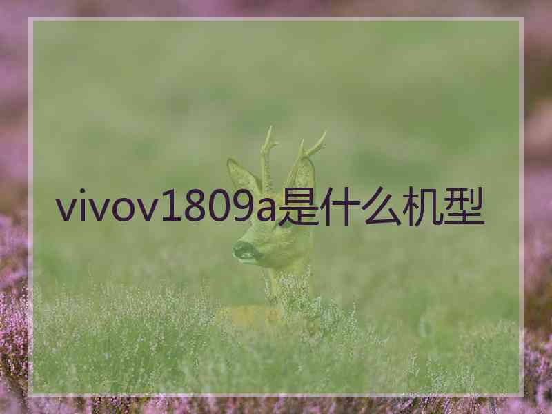 vivov1809a是什么机型