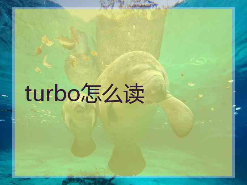 turbo怎么读