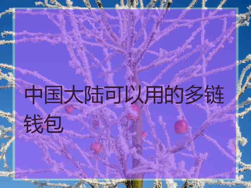 中国大陆可以用的多链钱包