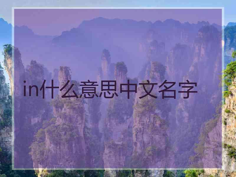 in什么意思中文名字