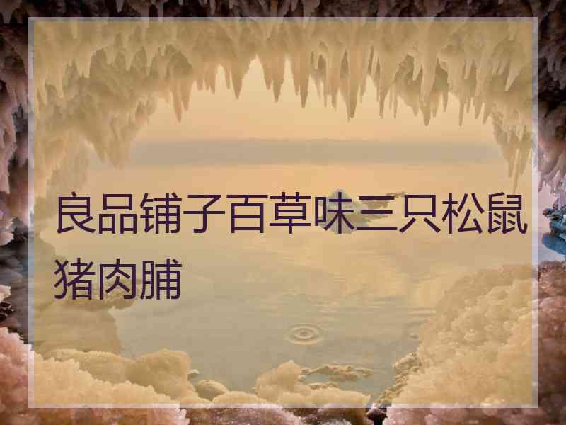 良品铺子百草味三只松鼠猪肉脯