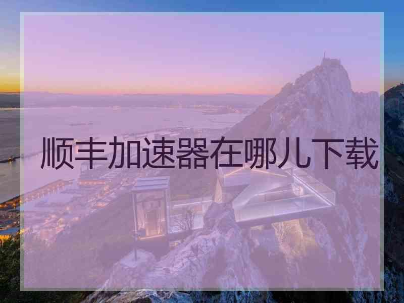 顺丰加速器在哪儿下载