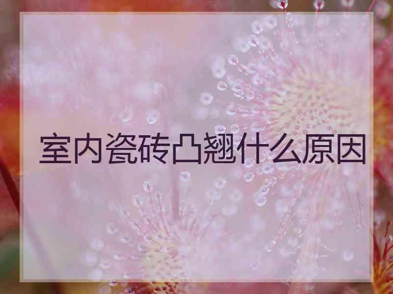 室内瓷砖凸翘什么原因