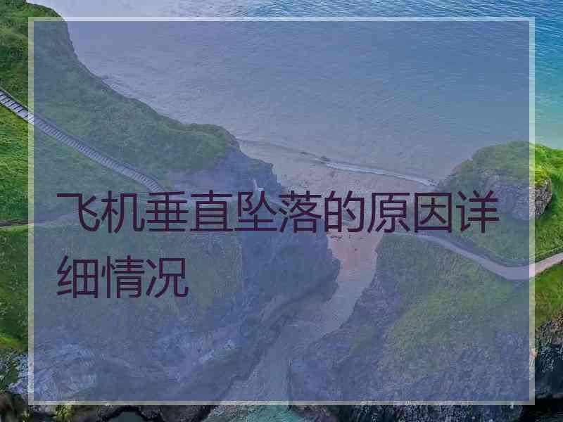 飞机垂直坠落的原因详细情况