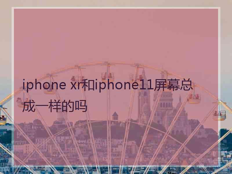 iphone xr和iphone11屏幕总成一样的吗