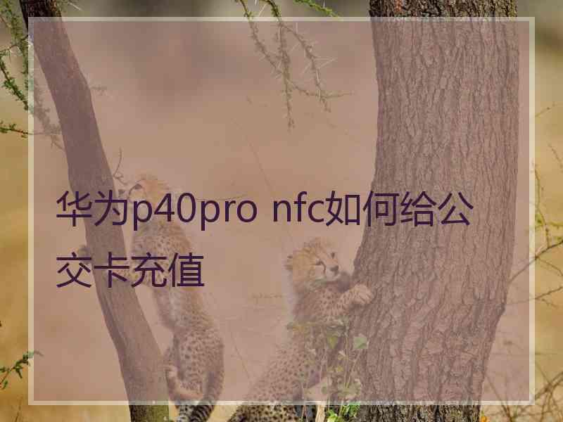 华为p40pro nfc如何给公交卡充值