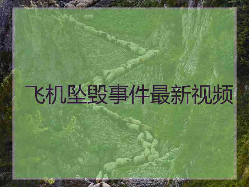 飞机坠毁事件最新视频