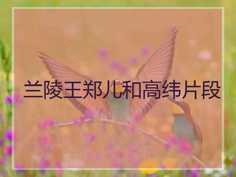 兰陵王郑儿和高纬片段