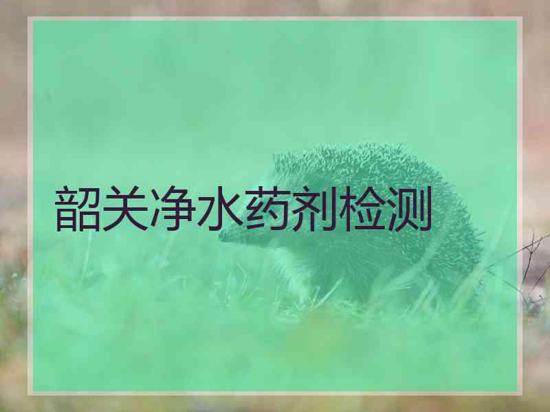韶关净水药剂检测