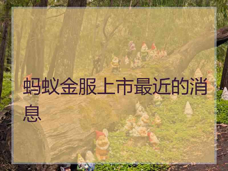 蚂蚁金服上市最近的消息