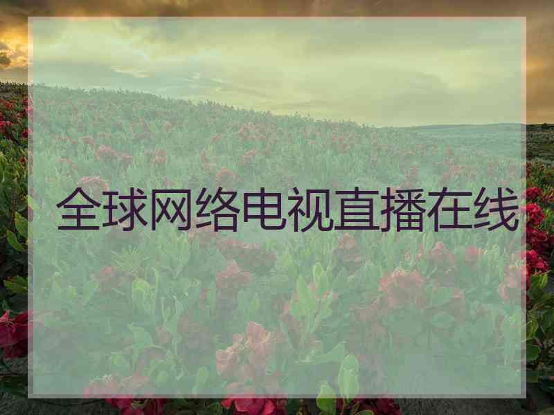 全球网络电视直播在线
