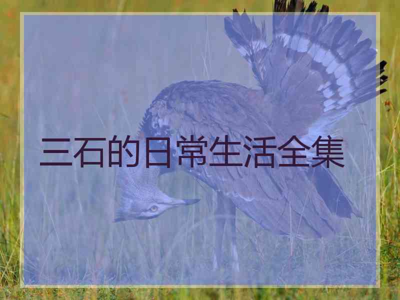 三石的日常生活全集