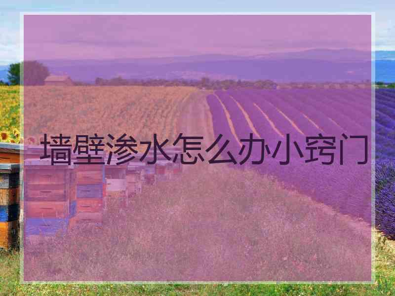 墙壁渗水怎么办小窍门