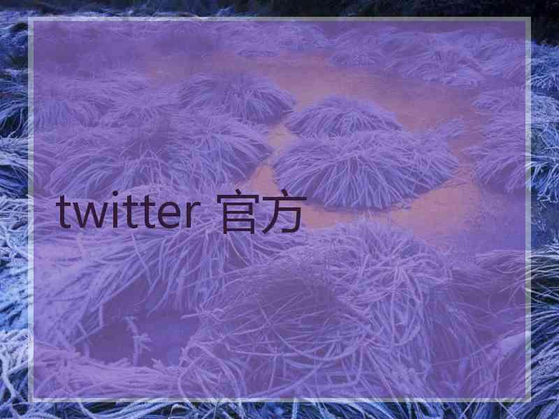 twitter 官方