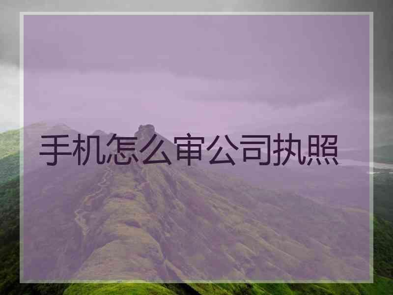 手机怎么审公司执照
