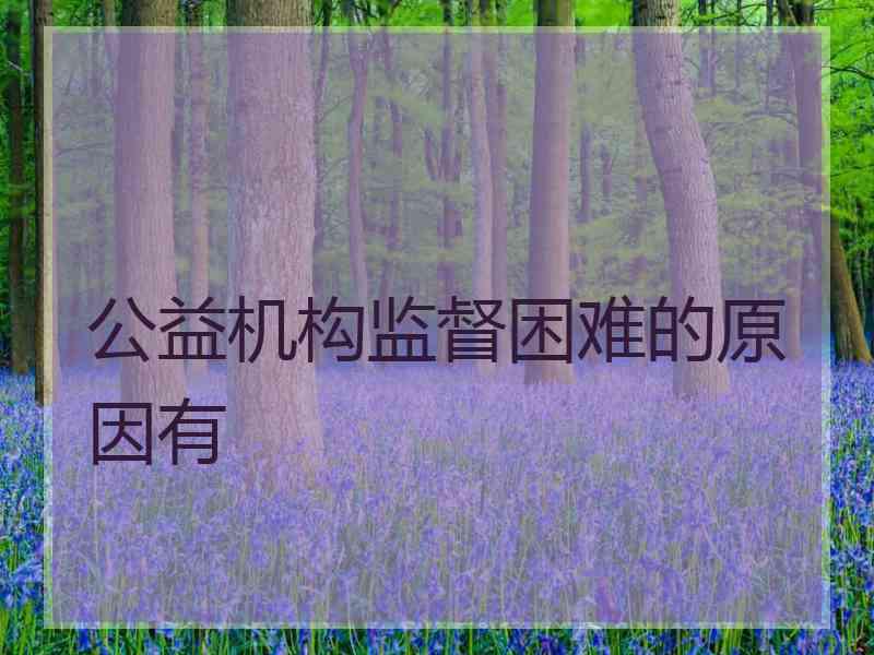 公益机构监督困难的原因有