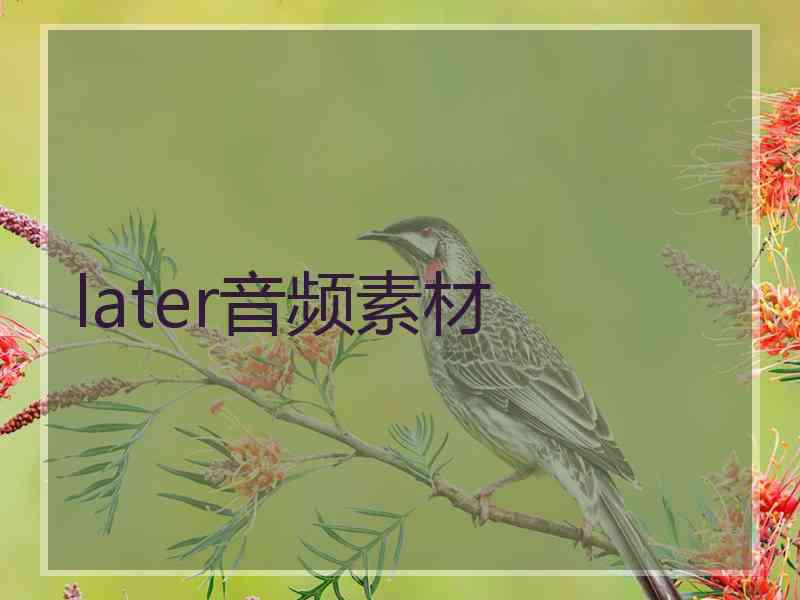 later音频素材