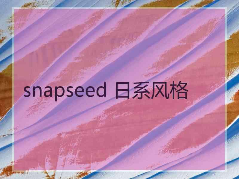 snapseed 日系风格