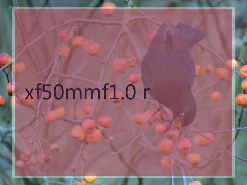 xf50mmf1.0 r