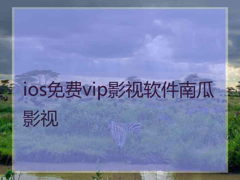 ios免费vip影视软件南瓜影视