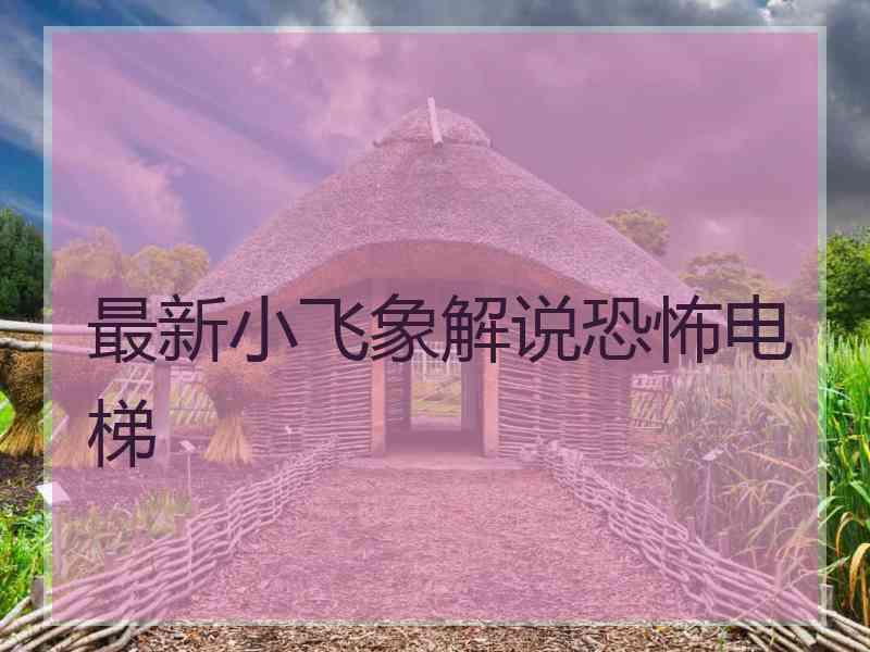 最新小飞象解说恐怖电梯