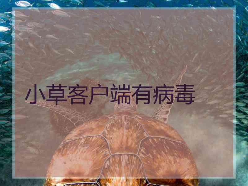 小草客户端有病毒