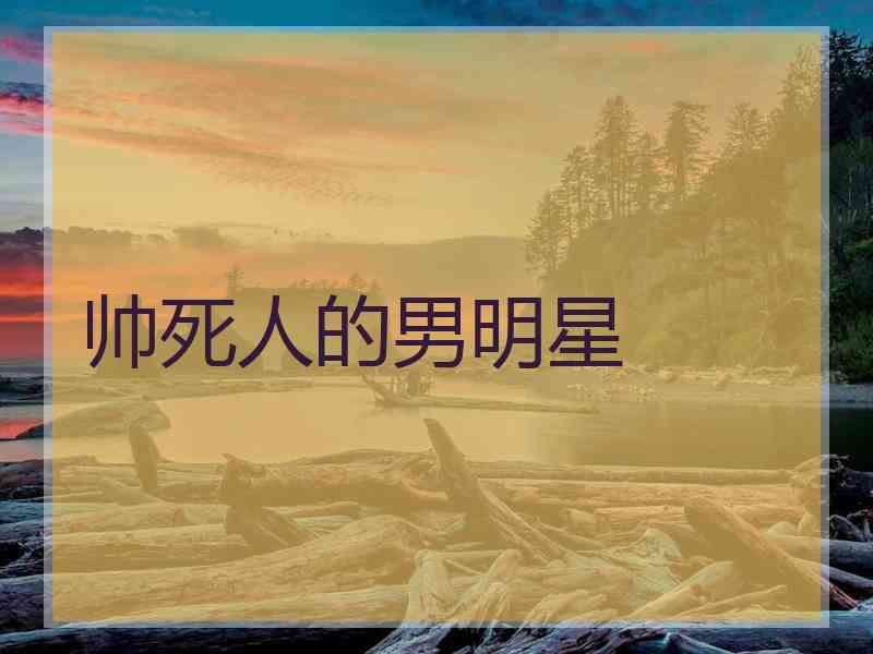 帅死人的男明星