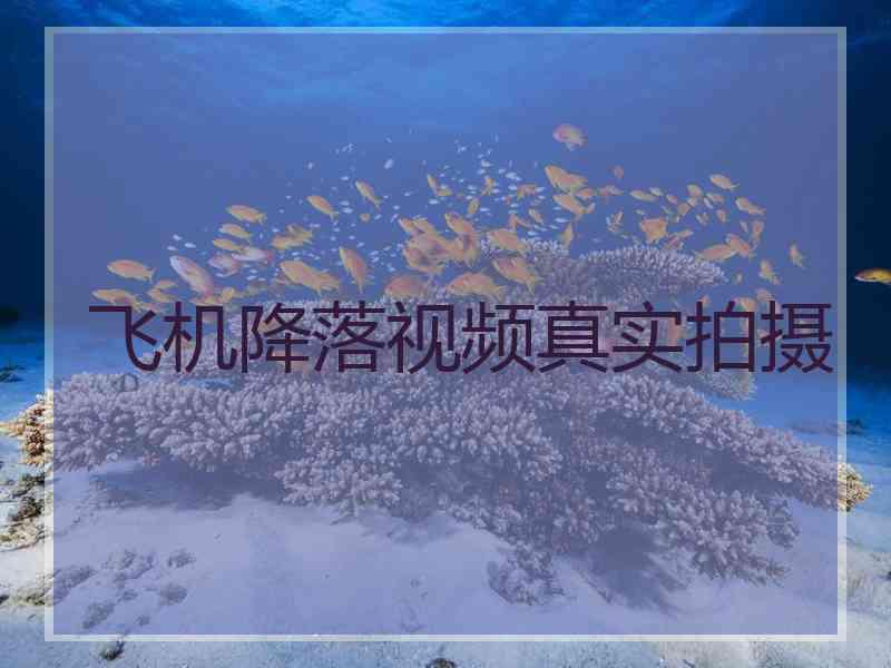 飞机降落视频真实拍摄