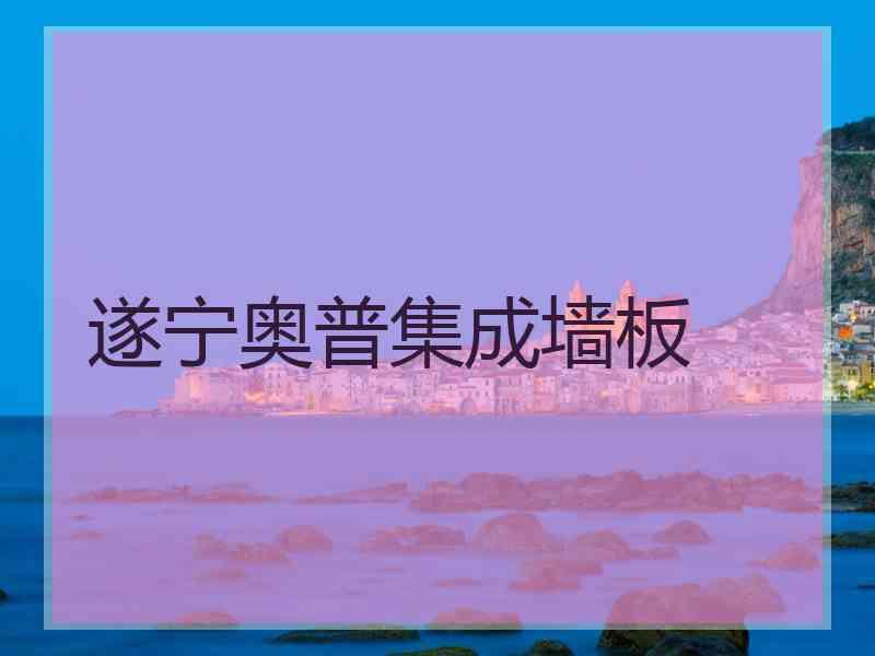 遂宁奥普集成墙板