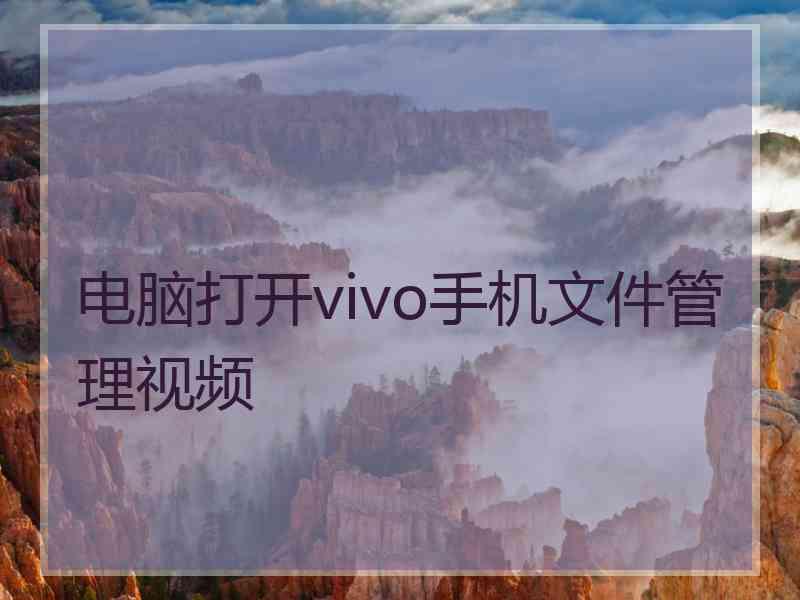 电脑打开vivo手机文件管理视频