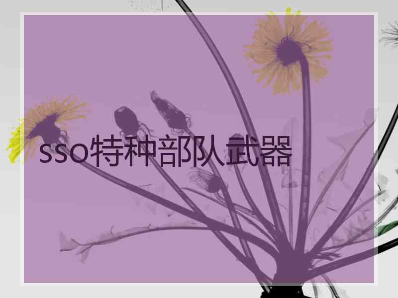sso特种部队武器
