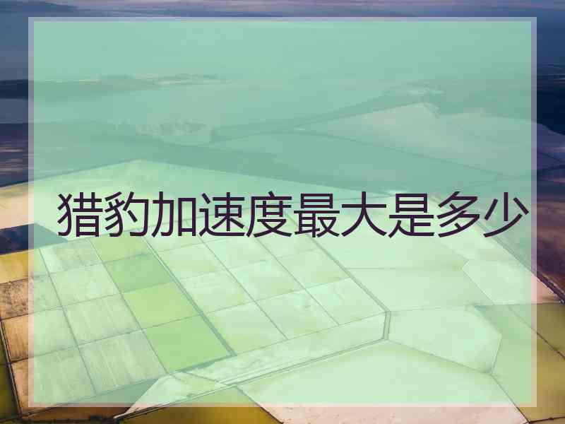 猎豹加速度最大是多少